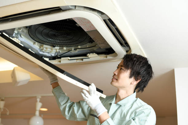 Best Affordable Duct Cleaning Services  in Holtville, CA